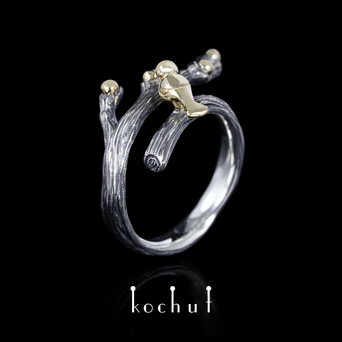 Vögelchen — Ring aus oxidiertem Silber und Gelbgold