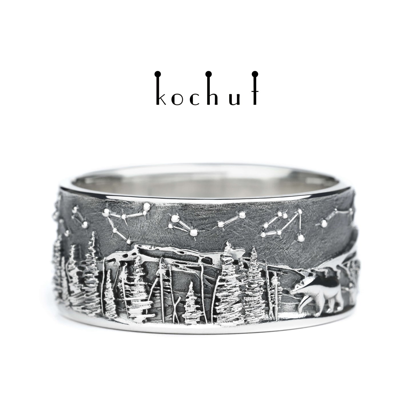 Nordisches Märchen — Ring aus oxidiertem Silber