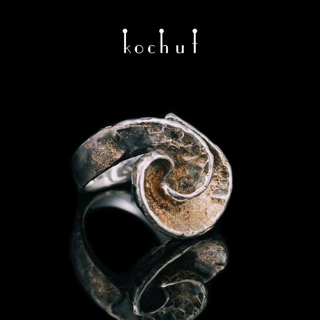 Singularity — silberner Ring mit Gelbgold
